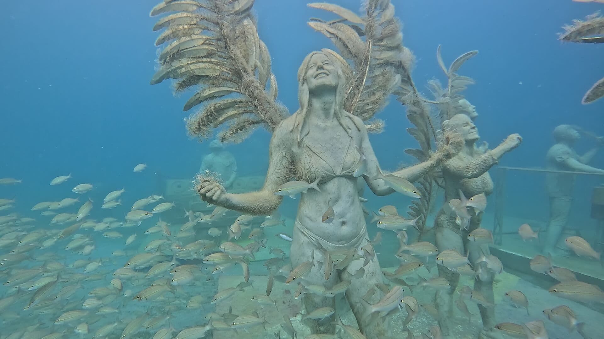 Deep Blue See: Developer of unqiue sustainable underwater artificial ...