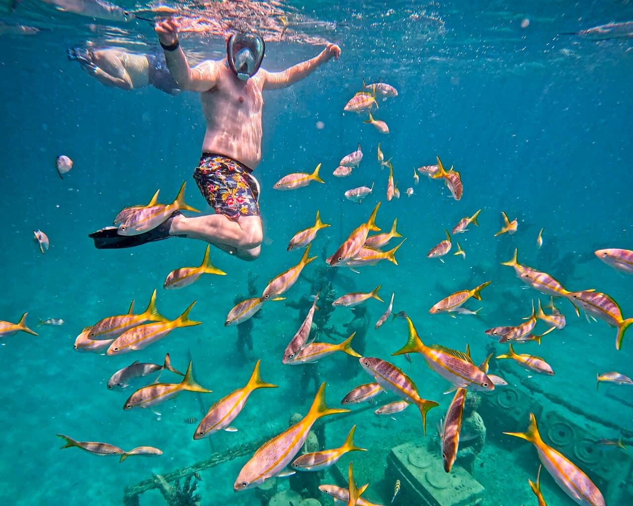 Carnival man snorkelling in Cancun, Mexico