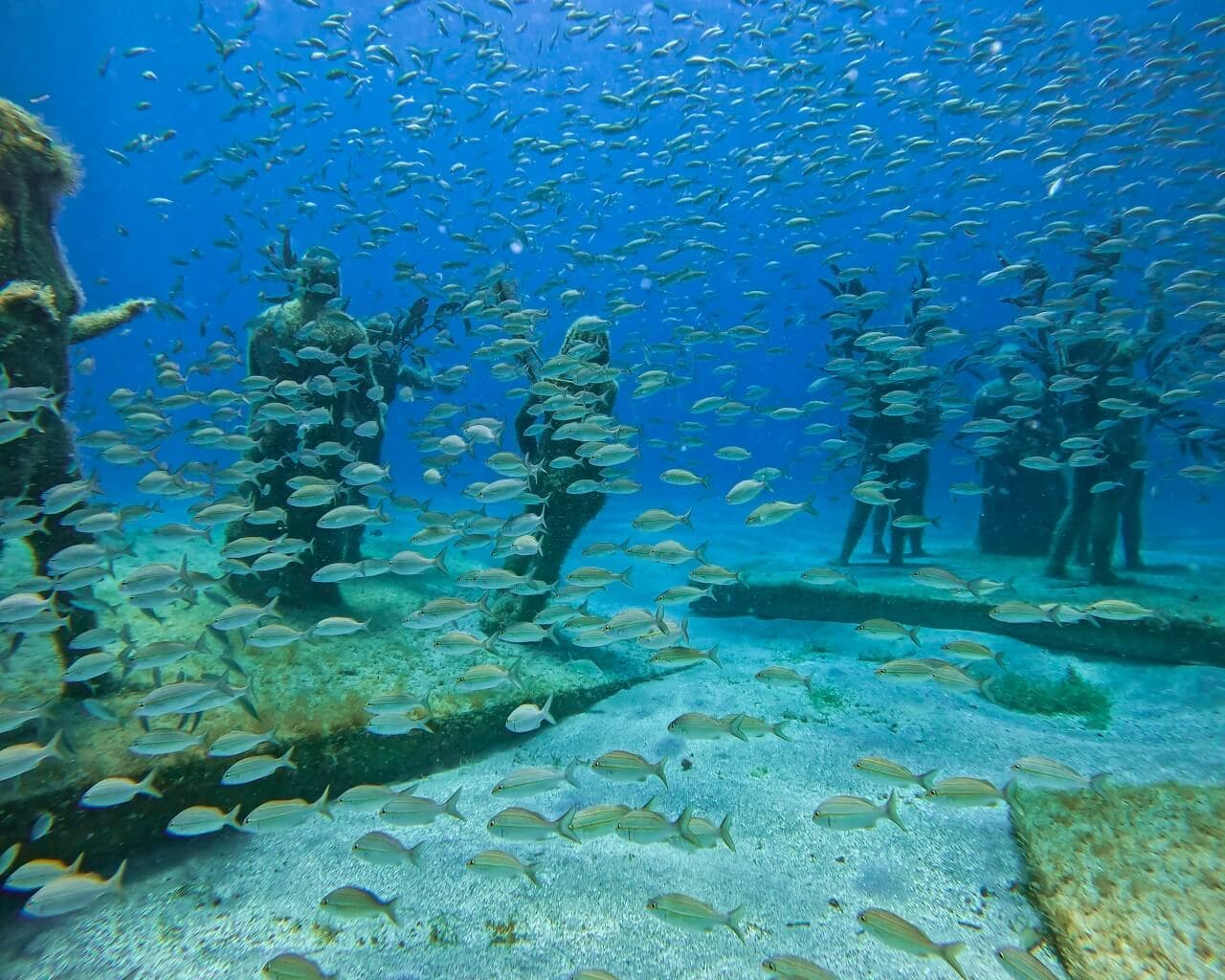 Fish swimming around sculptures