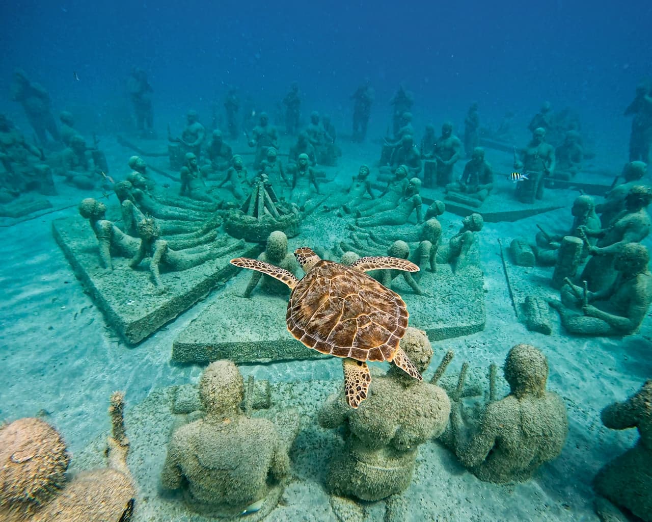 Turtle swimming over underwater sculptures
