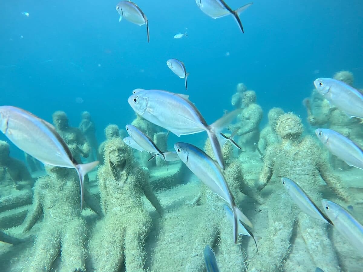 Bar Jacks underwater artificial reef sculptures